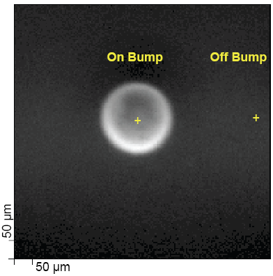 Fig. 4 – Characterizing Bumped Wafers with XPS.  (b) Scanned x-ray beam induced secondary electron image of a solder bump